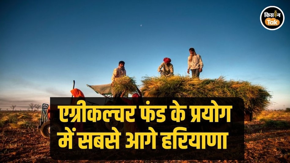 Haryana News: कृषि फंड खर्च करने में हरियाणा आगे, किसानों को हुआ फायदा ही फायदा Haryana News: कृषि फंड खर्च करने में हरियाणा आगे, किसानों को हुआ फायदा ही फायदा