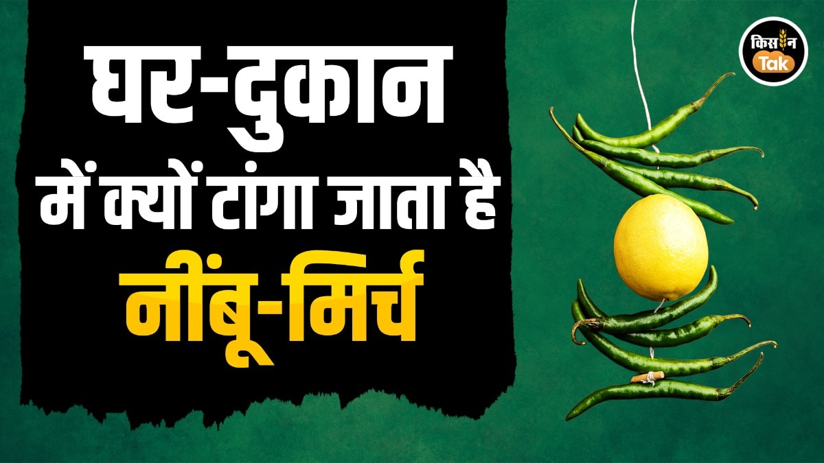 नींबू-मिर्च की कहानी