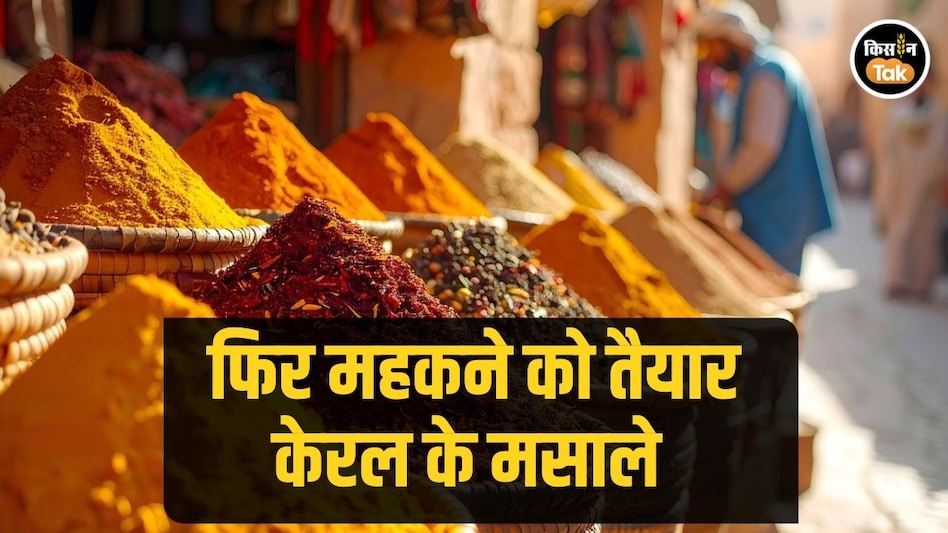 Spice Stories: संस्कृतियों को आपस में जोड़ेगा नया मसाला रूट, केरल में चल रही खास कॉन्फ्रेंस Spice Stories: संस्कृतियों को आपस में जोड़ेगा नया मसाला रूट, केरल में चल रही खास कॉन्फ्रेंस