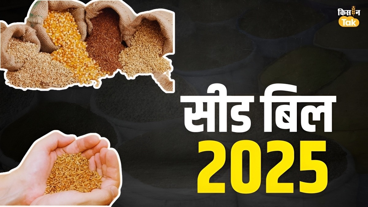 फरवरी में संसद में आएगा नया बीज कानून! किसानों-बीज कारोबार के लिए क्या-क्‍या बदलेगा?