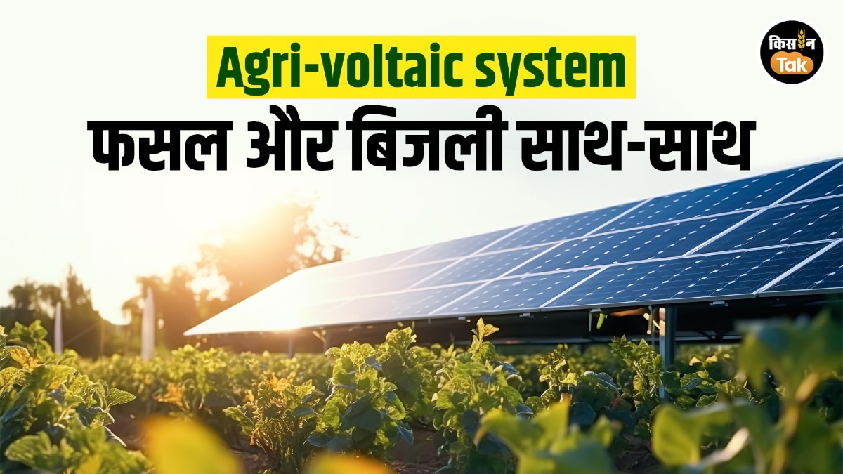 Agri voltaic system: इस नई तकनीक से खेती और बिजली दोनों की कमाई, किसान साल में कमा सकते हैं 8 लाख रुपये
