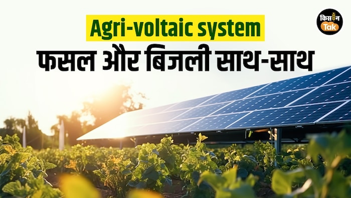 agri voltaic system