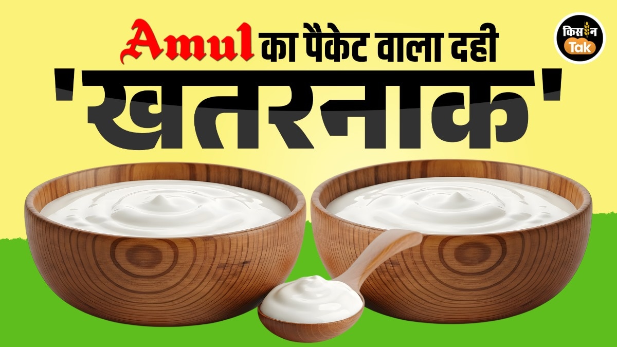 Amul Pouch Curd: अमूल दूध पीता है इंडिया, तो अब क्या 