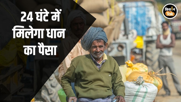 paddy procurement Bihar