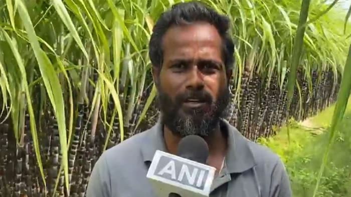 Sugarcane Farmer Trichy