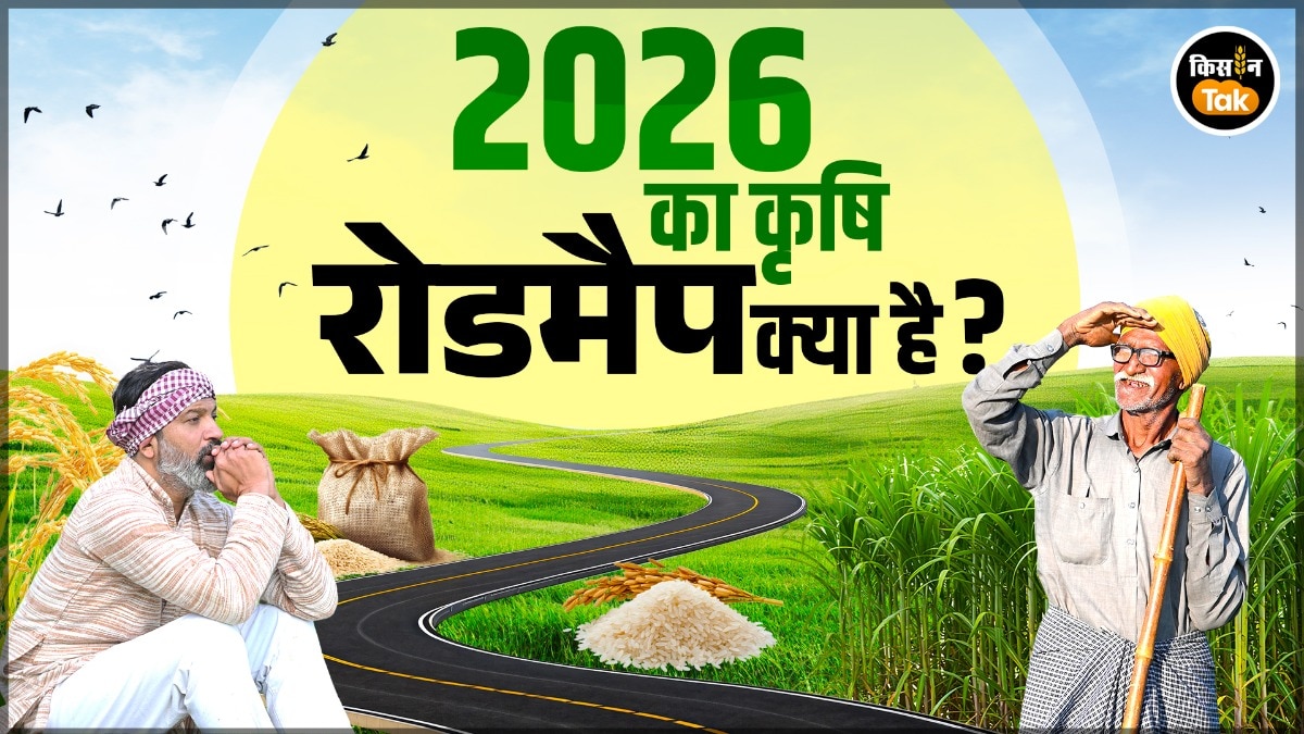 India GDP Growth : फुल स्पीड में इंडिया! 7.4% की रफ़्तार से बढ़ेगी इकोनॉमी,जानें कृषि सेक्टर क्या रहेगा हाल