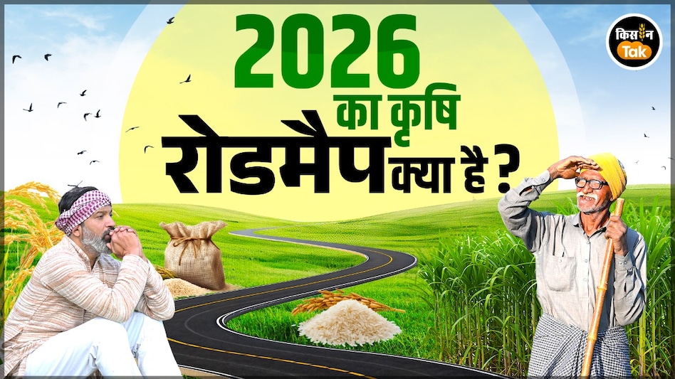 India GDP Growth : फुल स्पीड में इंडिया! 7.4% की रफ़्तार से बढ़ेगी इकोनॉमी,जानें कृषि सेक्टर क्या रहेगा हाल India GDP Growth : फुल स्पीड में इंडिया! 7.4% की रफ़्तार से बढ़ेगी इकोनॉमी,जानें कृषि सेक्टर क्या रहेगा हाल