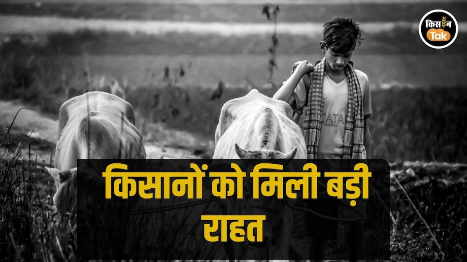 Farmer Loan: आंध्र प्रदेश सरकार ने दिया किसानों को तोहफा, कर्ज माफी पर किया बड़ा ऐलान Farmer Loan: आंध्र प्रदेश सरकार ने दिया किसानों को तोहफा, कर्ज माफी पर किया बड़ा ऐलान