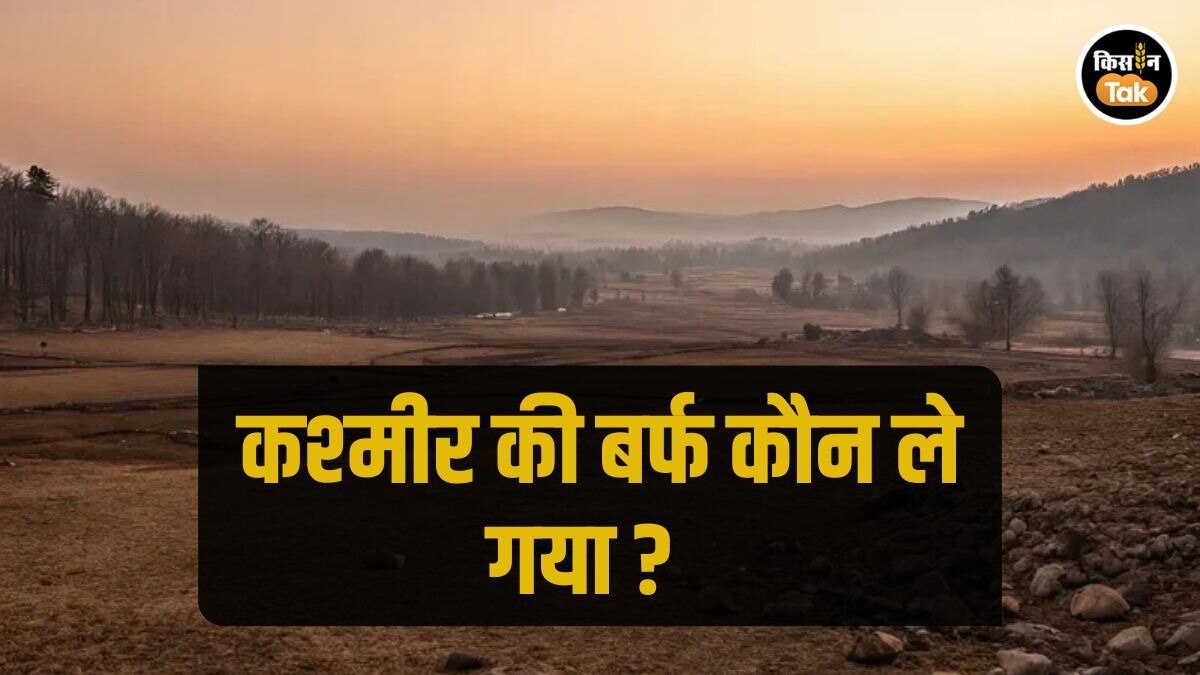 Kashmir Weather: कम बर्फबारी से पानी की इमरजेंसी, खेती का संकट, कश्‍मीर में मौसम को यह क्‍या हो गया?