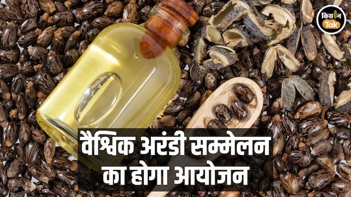 ग्लोबल कैस्टर सम्मेलन 2026