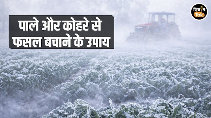 IMD ने किसानों की दी सलाह (AI तस्वीर)