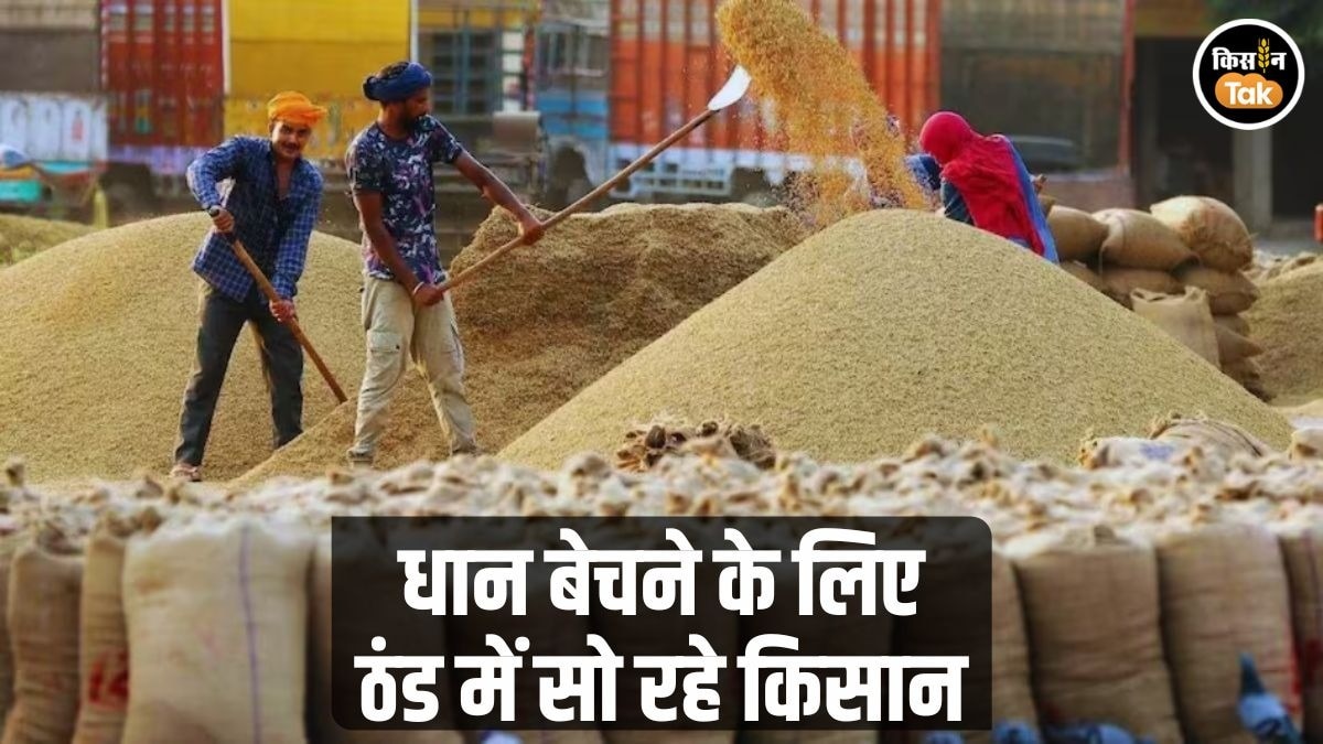 धान बेचने के लिए किसान परेशान