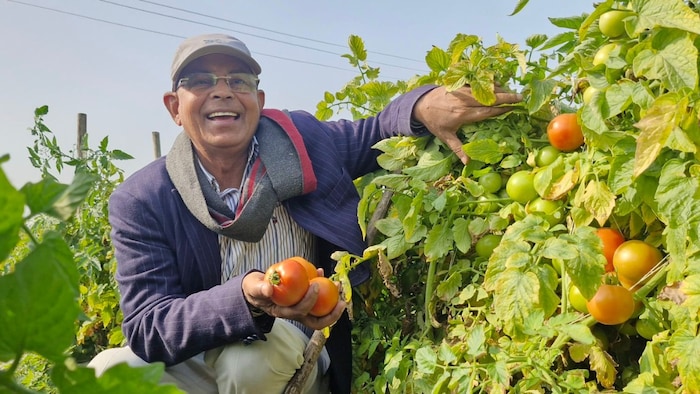 बाराबंकी में हरख ब्लॉक के दौलतपुर गांव में जन्मे किसान पद्मश्री राम शरण वर्मा