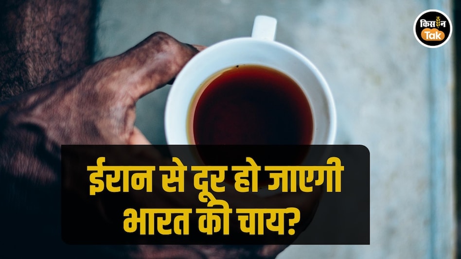 Iran Crisis: ईरान में लगी है आग, भारत में चाय निर्यातक परेशान, जानें टेंशन की असली वजह Iran Crisis: ईरान में लगी है आग, भारत में चाय निर्यातक परेशान, जानें टेंशन की असली वजह