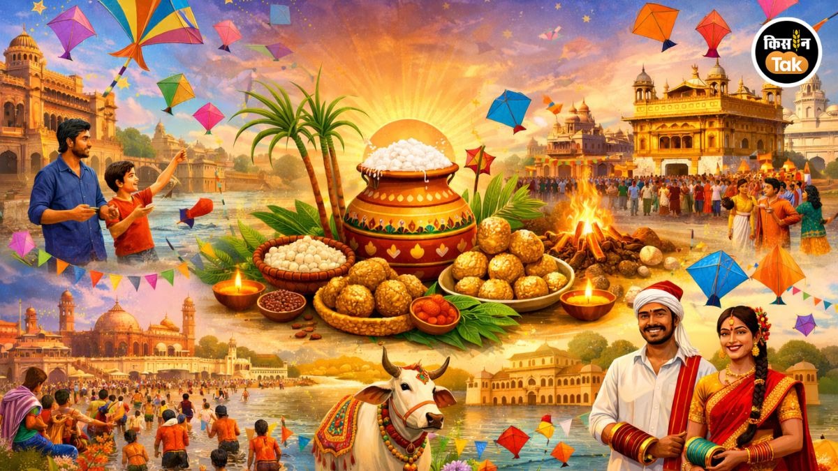 पतंगों, पोंगल और रंगीन उत्सवों का आनंद