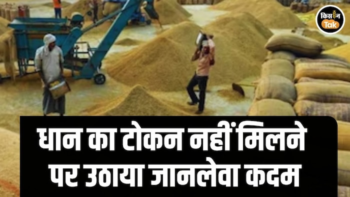 Paddy Token Farmer Suicide Attempt