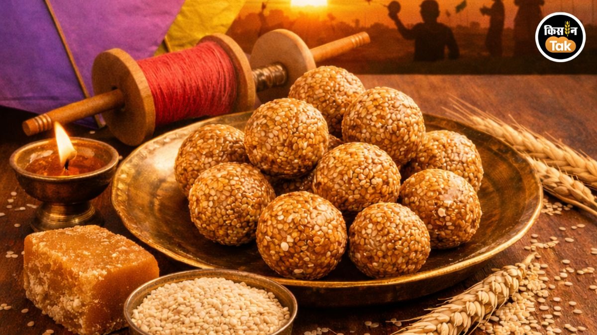 तिल और गुड़ के फायदे