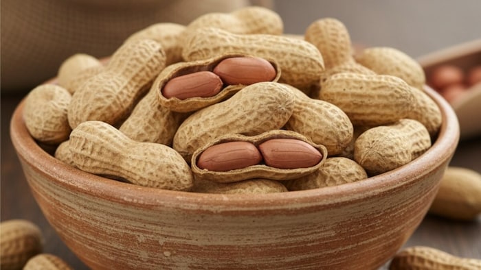 भारतीय मूंगफली का अवैध सफर