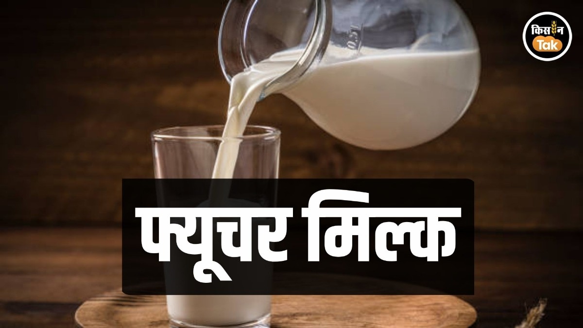 Future Milk: फ्यूचर मिल्क पर होगी चर्चा, भेड़-बकरी, ऊंट, याक पालन को दिया जाएगा बढ़ावा
