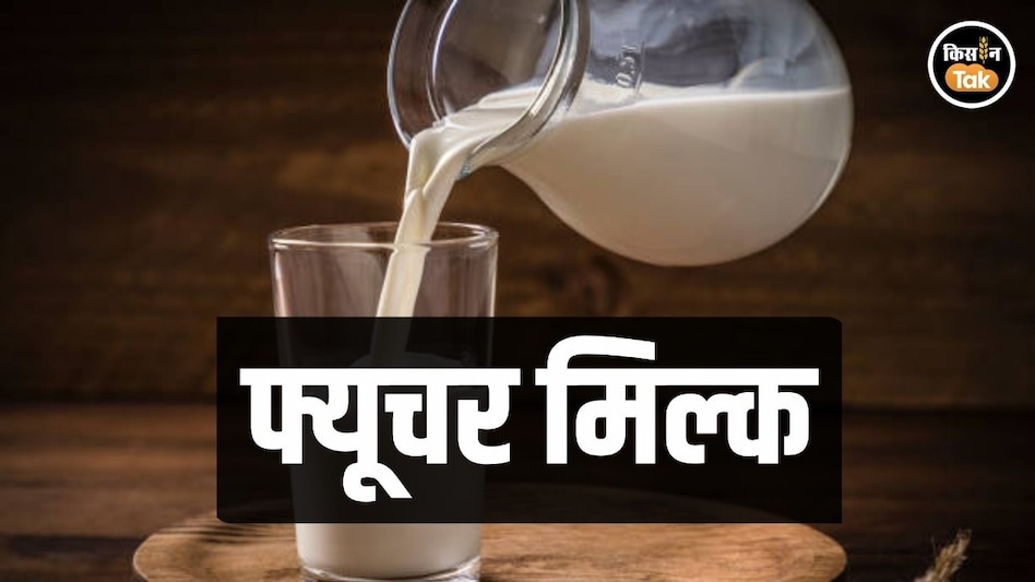 Future Milk: फ्यूचर मिल्क पर होगी चर्चा, भेड़-बकरी, ऊंट, याक पालन को दिया जाएगा बढ़ावा Future Milk: फ्यूचर मिल्क पर होगी चर्चा, भेड़-बकरी, ऊंट, याक पालन को दिया जाएगा बढ़ावा