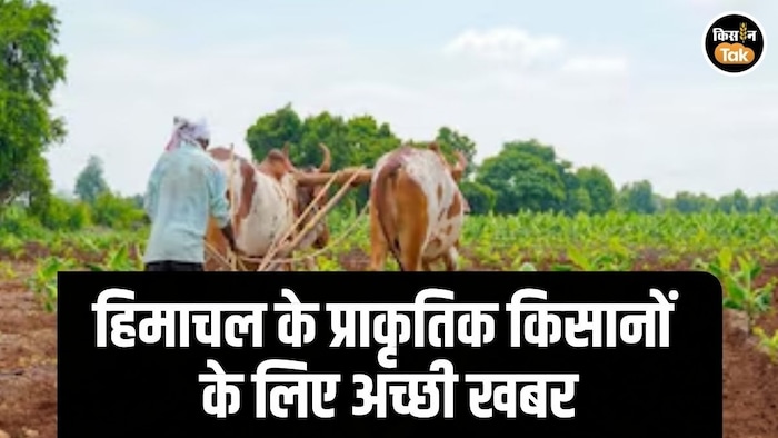 Himachal Natural Farmers