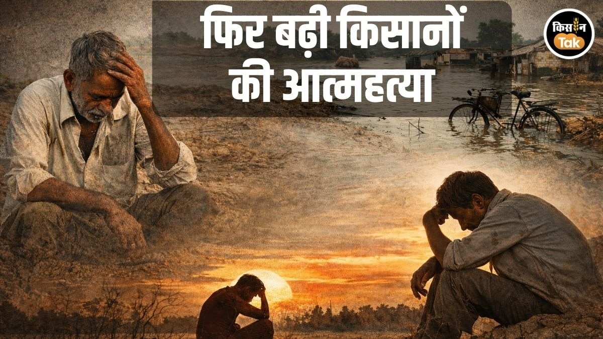 Farmer Suicide: मराठवाड़ा में 5 साल में 5000 से ज्‍यादा किसानों ने की आत्‍महत्‍या, 2025 में सबसे ज्‍यादा सामने आए
