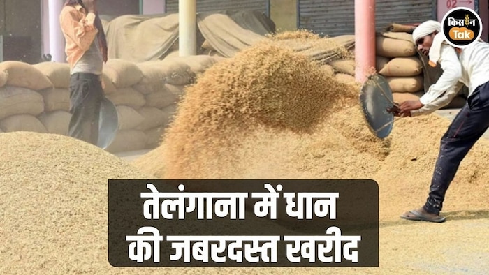 धान खरीद