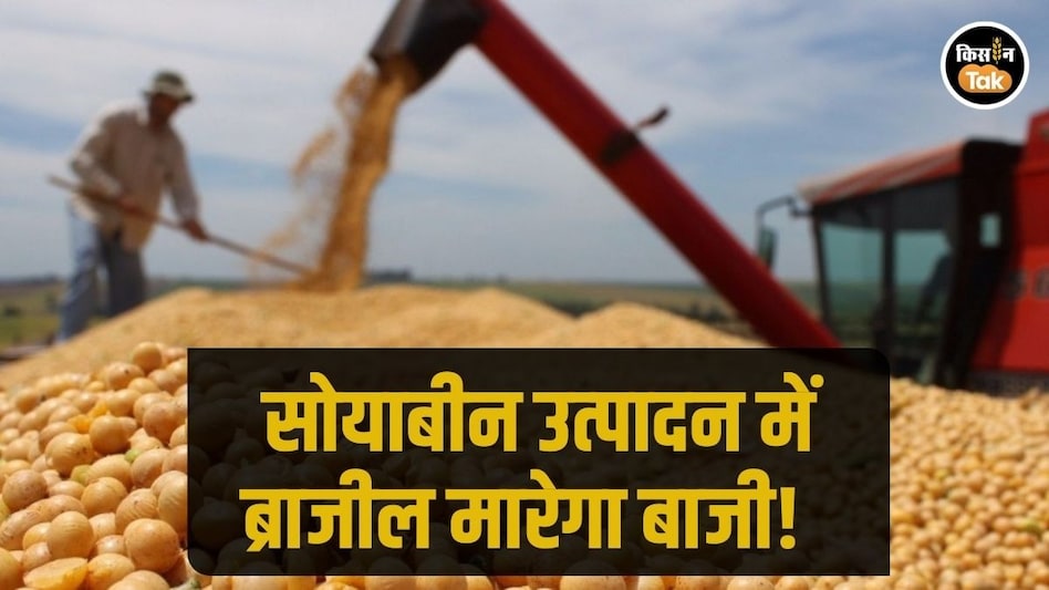 Soybean Production: ब्राजील में सोयाबीन उत्पादन नए रिकॉर्ड की ओर, अमेरिका को मिलेगी कड़ी टक्कर Soybean Production: ब्राजील में सोयाबीन उत्पादन नए रिकॉर्ड की ओर, अमेरिका को मिलेगी कड़ी टक्कर