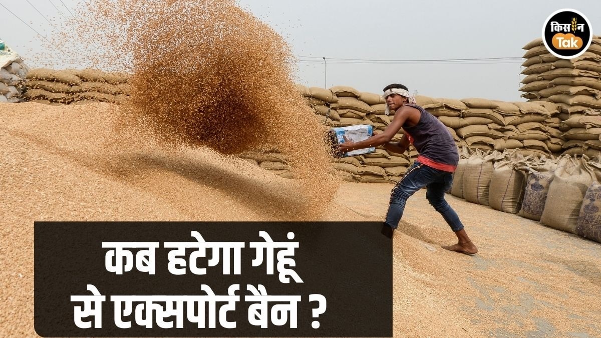 Wheat Export Ban 