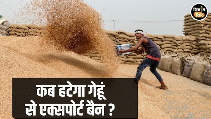 Wheat Export Ban