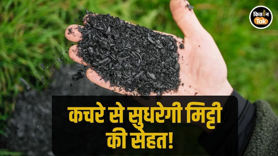 कपास का कचरा बनेगा किसानों के लिए मुनाफे का सौदा, जानें माइक्रोसॉफ्ट लेकर आया कौन सा आइडिया कपास का कचरा बनेगा किसानों के लिए मुनाफे का सौदा, जानें माइक्रोसॉफ्ट लेकर आया कौन सा आइडिया