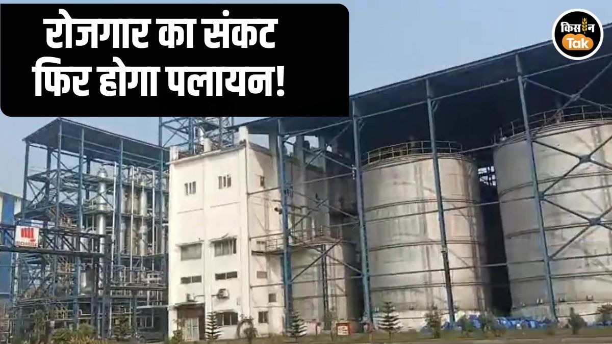 पॉलिसी में बदलाव से बिहार के 14 इथेनॉल प्लांट संकट में, हजारों नौकरियों और मक्का किसानों पर खतरा