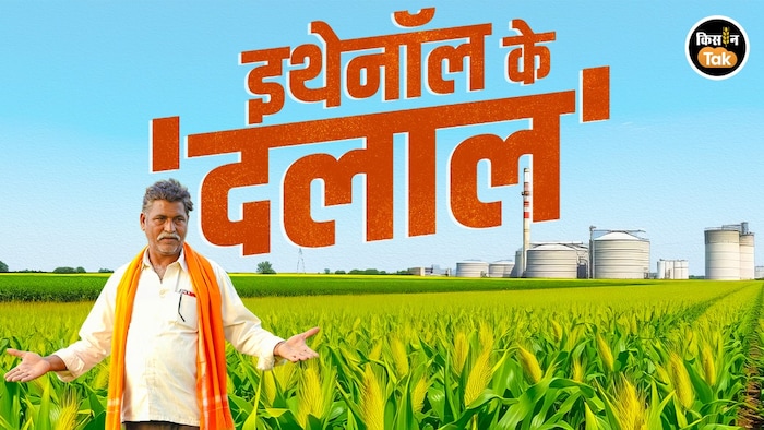 direct maize procurement