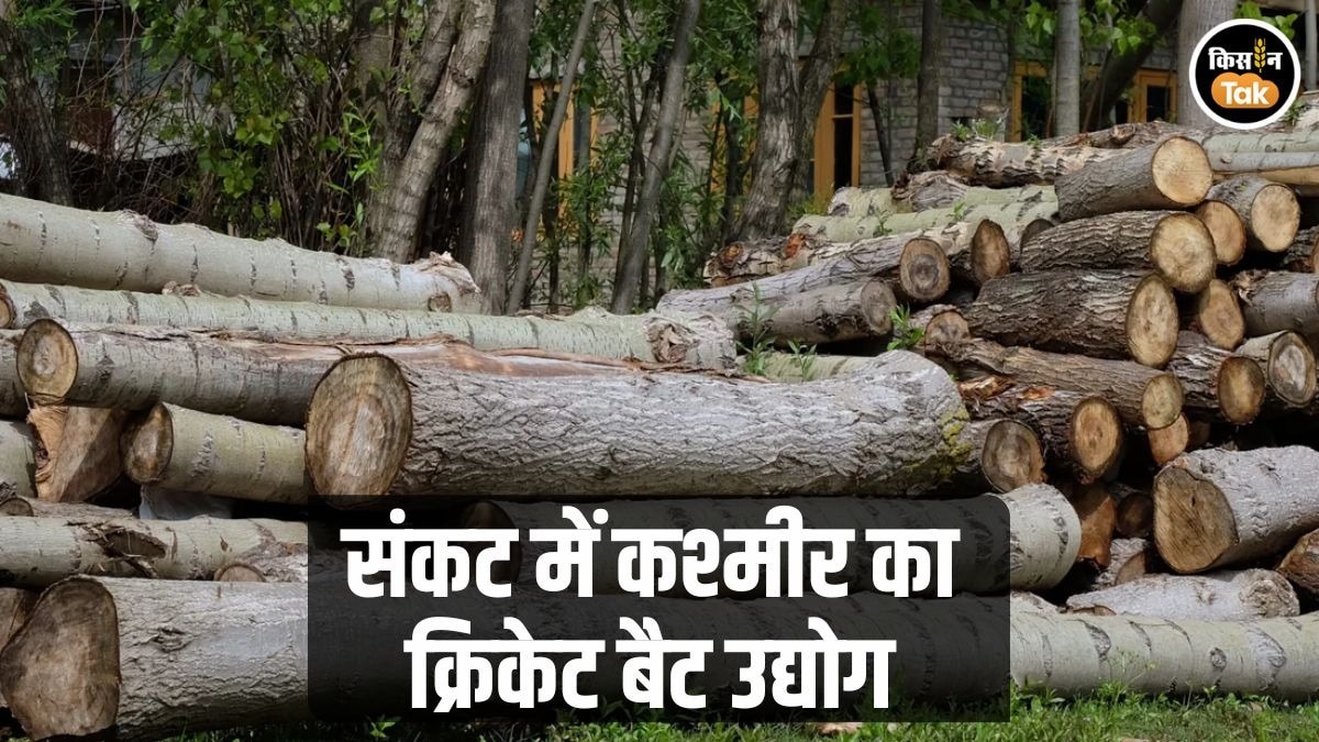 खतरे में कश्मीर की पहचान