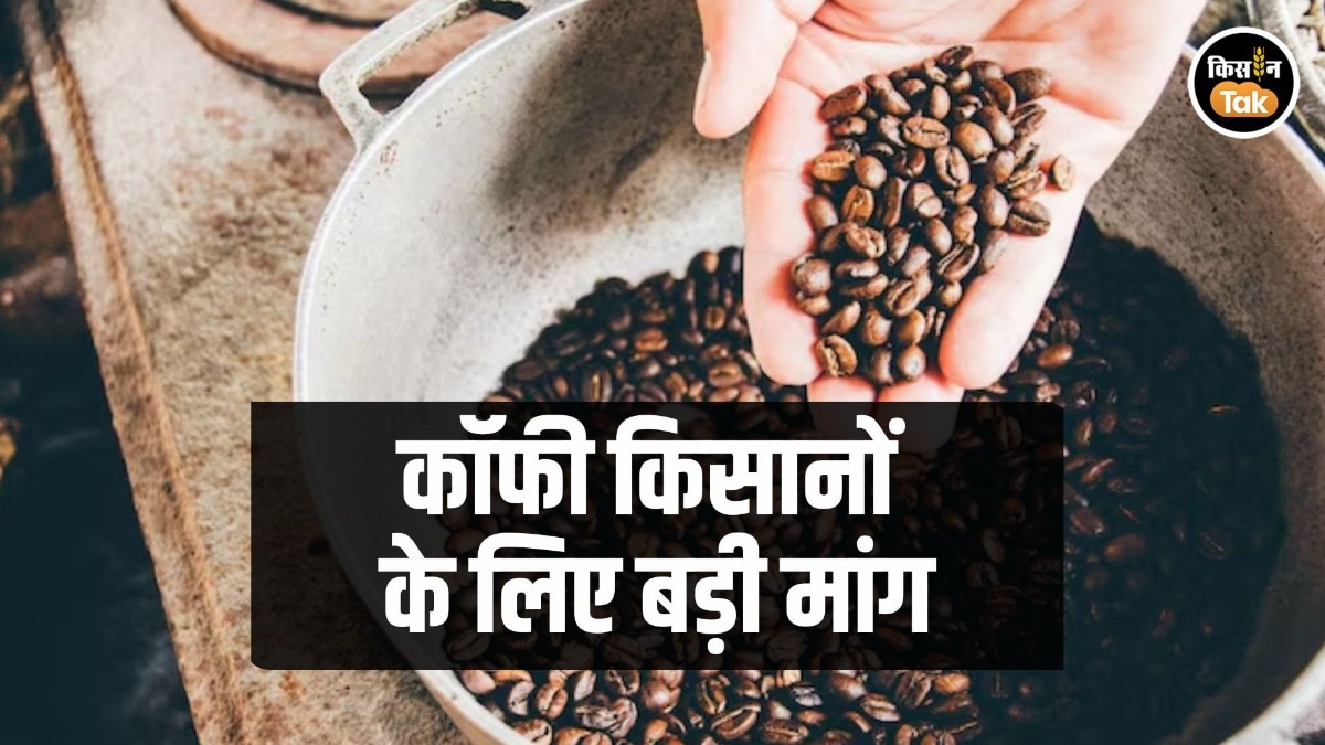 coffee under PM Fasal Bima