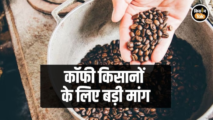 coffee under PM Fasal Bima