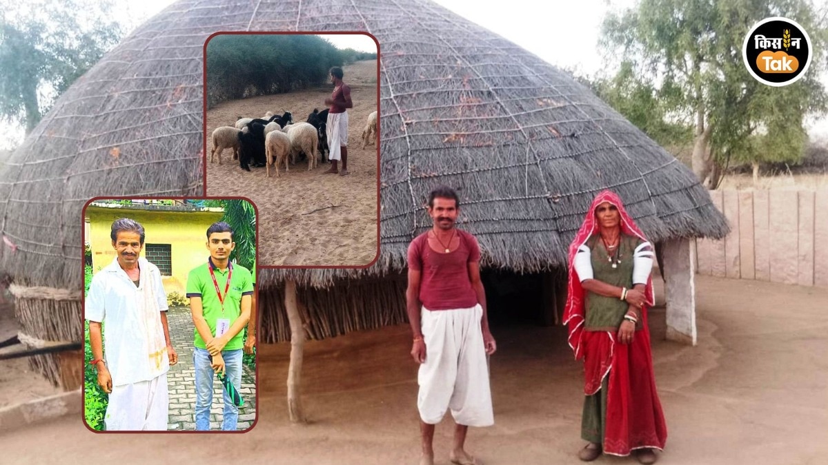 Success Story: भेड़ चराने वाले का बेटा बनेगा गांव का पहला डॉक्टर, बाड़मेर के रेगिस्तान से AIIMS देवघर तक की संघर्षगाथा