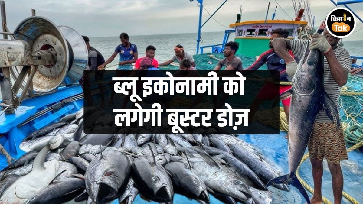 इजराइली स्मार्ट तकनीक से मछली पालन को मिलेगी रफ्तार, ब्लू इकोनॉमी के लिए खुलेंगे नए स्टार्टअप