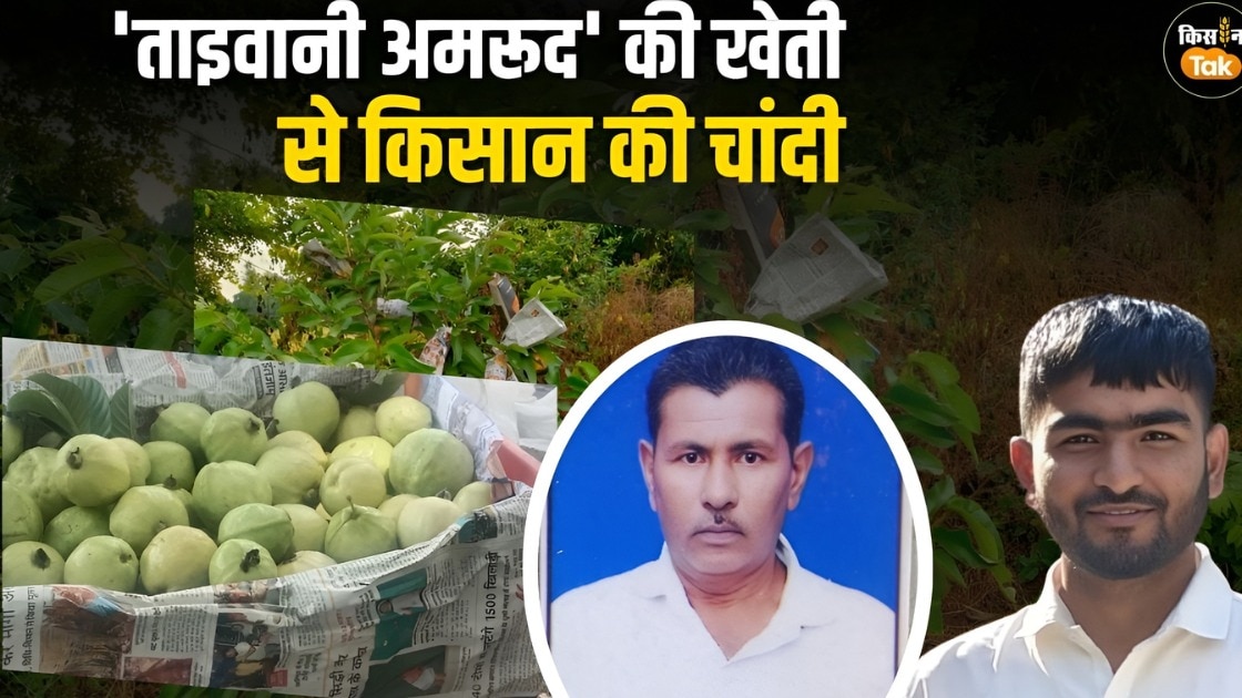 लखनऊ के मखदूमपुर कैथी गांव निवासी प्रगतिशील किसान सुरेश कुमार और उनका बेटा रवि