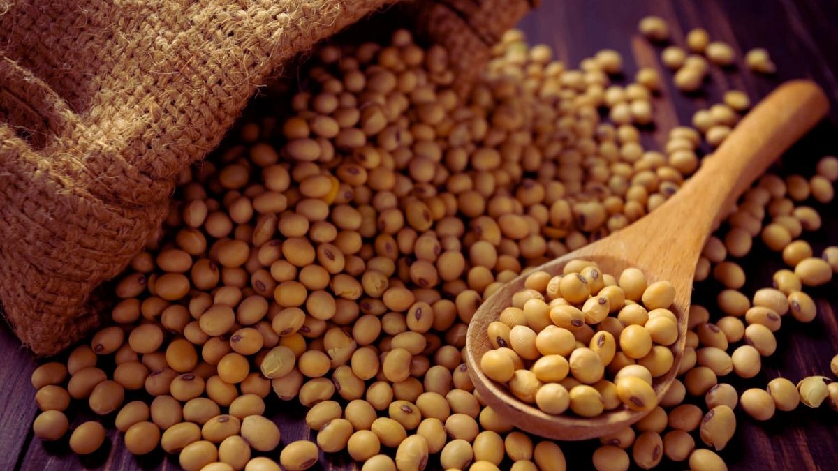 भारत के ऑयलमील निर्यात को झटका, दिसंबर में 40 फीसद की गिरावट