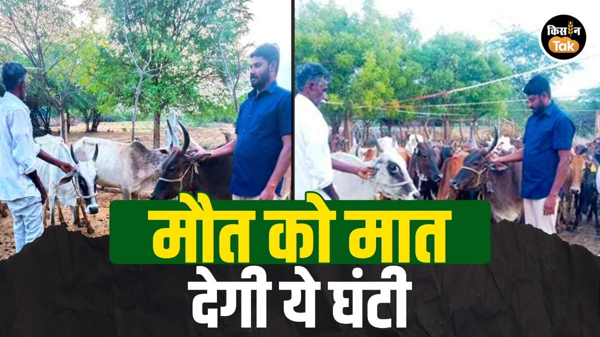 Innovative Farmer: किसान की कमाल की सोच, मात्र ₹78 में गाय-भैंसों को कील और सांपों से बचाएगा यह औजार