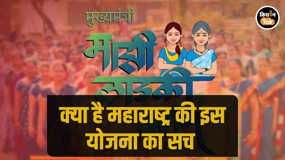 क्या बंद होने वाली है लाडकी बाहिण योजना, जानें बुलढाणा में क्यों भड़का महिलाओं का गुस्सा क्या बंद होने वाली है लाडकी बाहिण योजना, जानें बुलढाणा में क्यों भड़का महिलाओं का गुस्सा