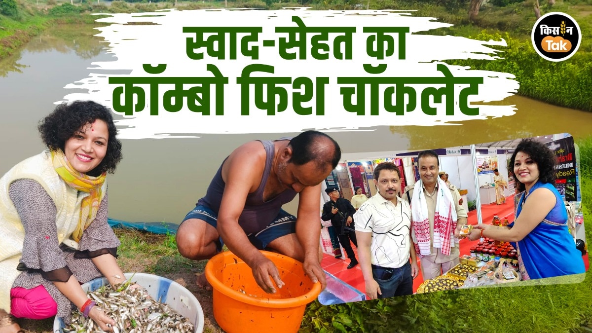 Farmer Success Story: असम की महिला ने बनाई 'फिश चॉकलेट', अब मछली के गुणों के साथ खाएं मीठी चॉकलेट