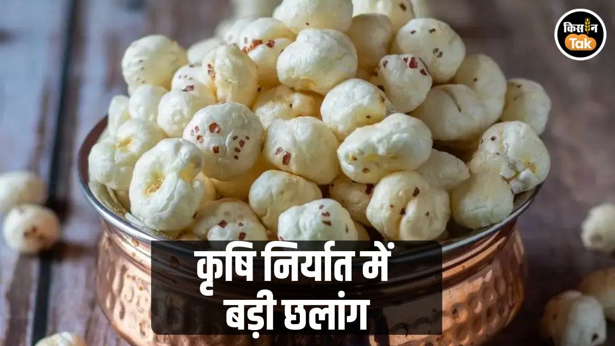 जीआई-टैग मखाना दुबई रवाना