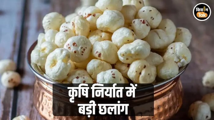 जीआई-टैग मखाना दुबई रवाना