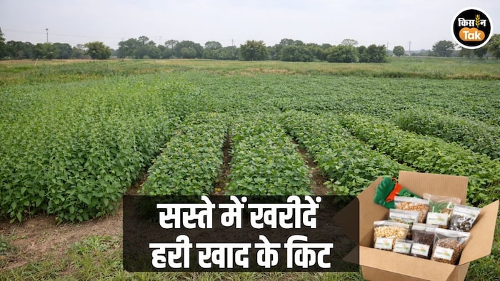 खेतों में उगाएं हरी खाद