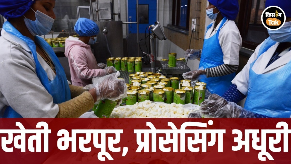 food processing in India