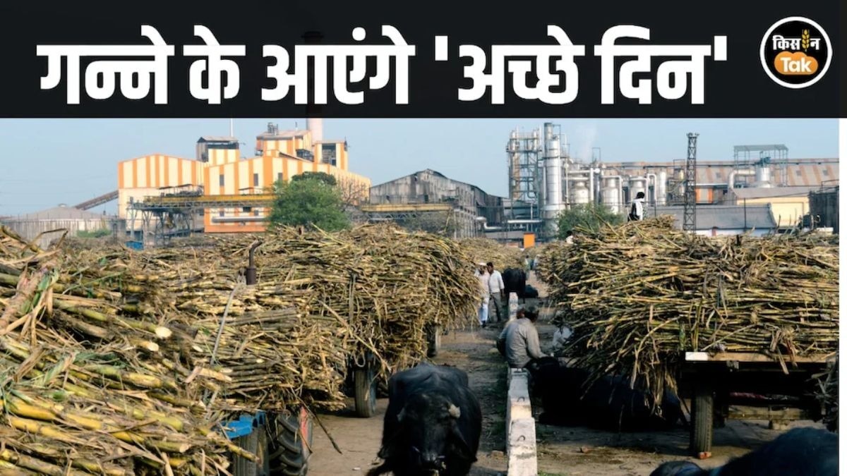 चालू होंगी बंद चीनी मिलें