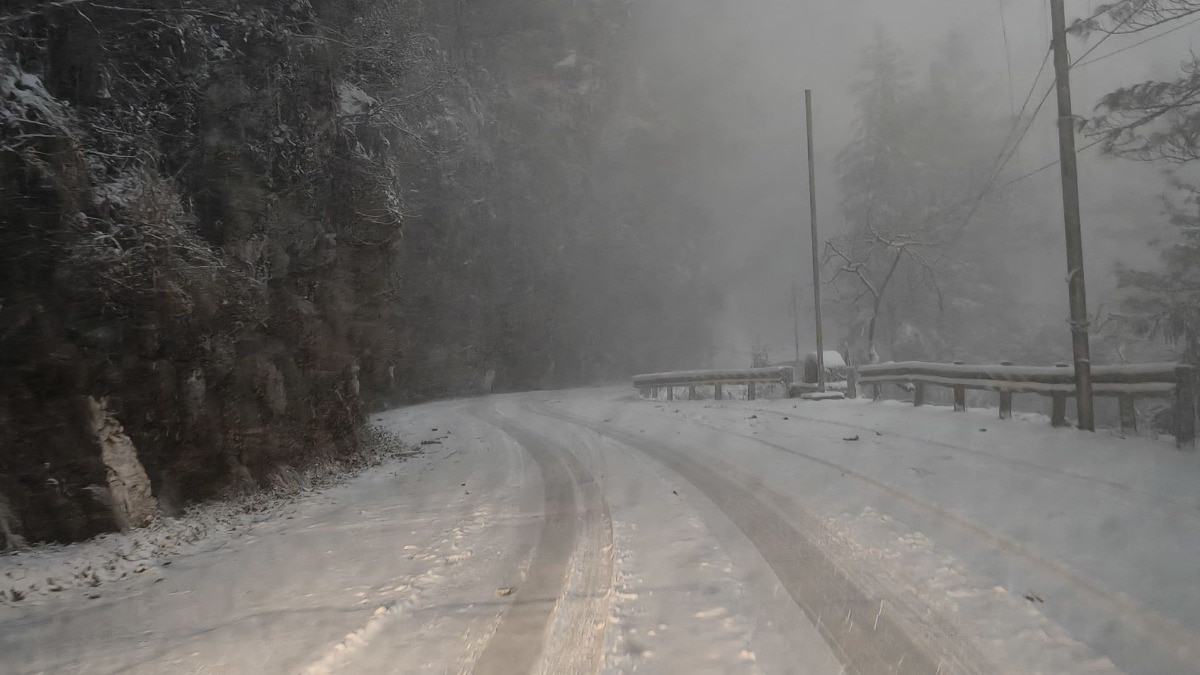 Himachal Snowfall