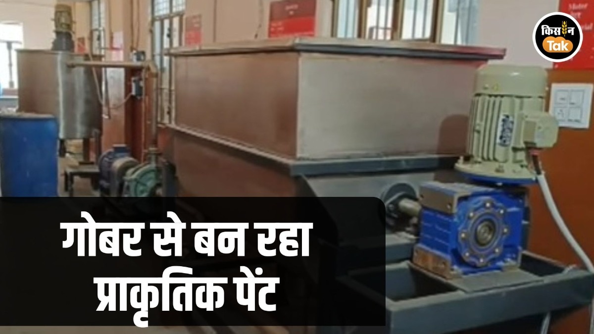 Gobar Natural Paint Saharanpur